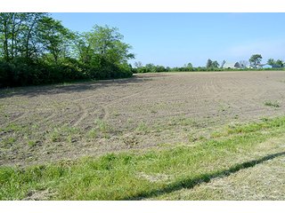 Property photo 2 - LAND AUCTION - 215+/- ACRES OFFERED IN 6 TRACTS IN VAN WERT COUNTY, OHIO